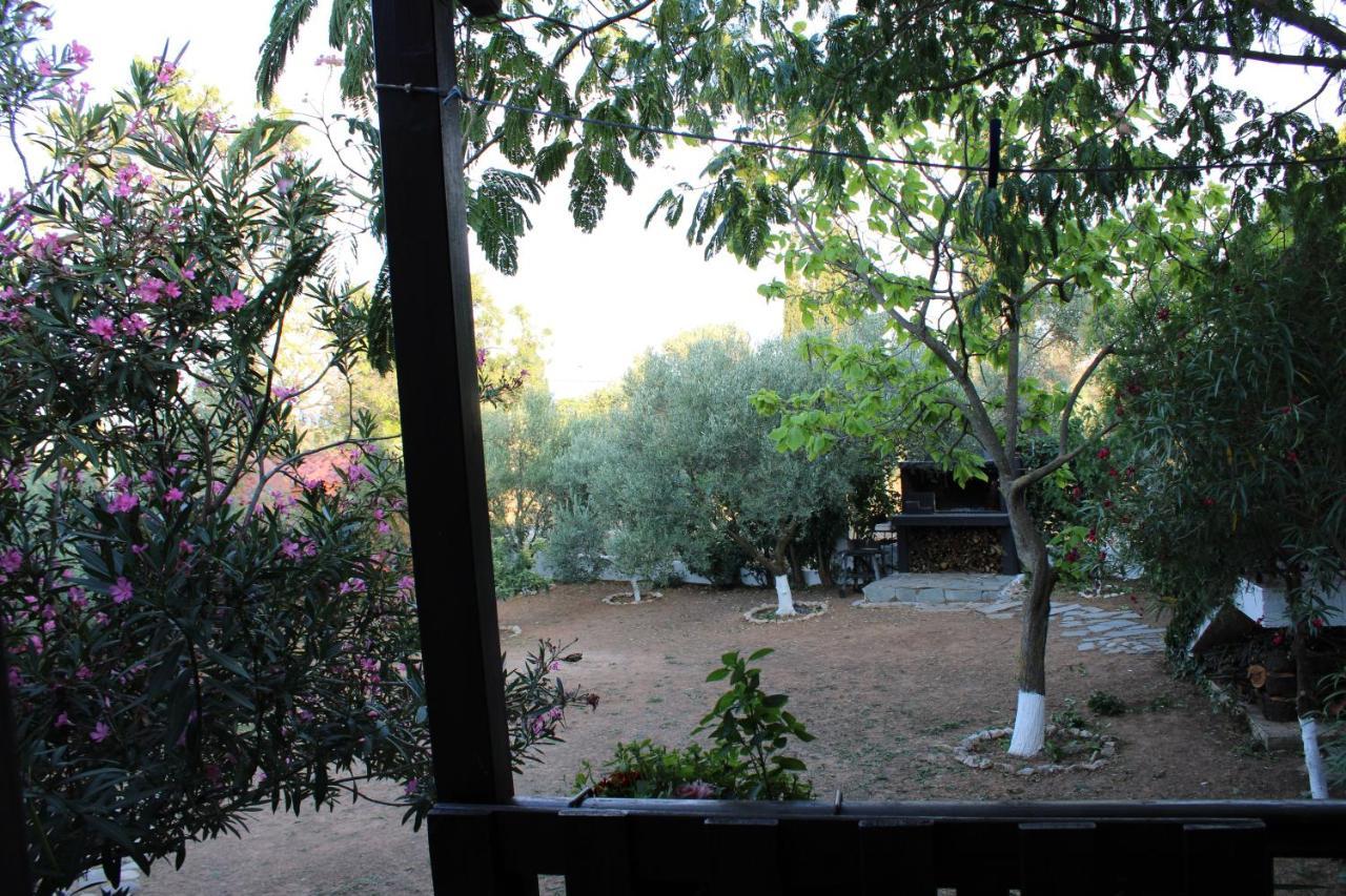 Anastasia Makri Exterior foto