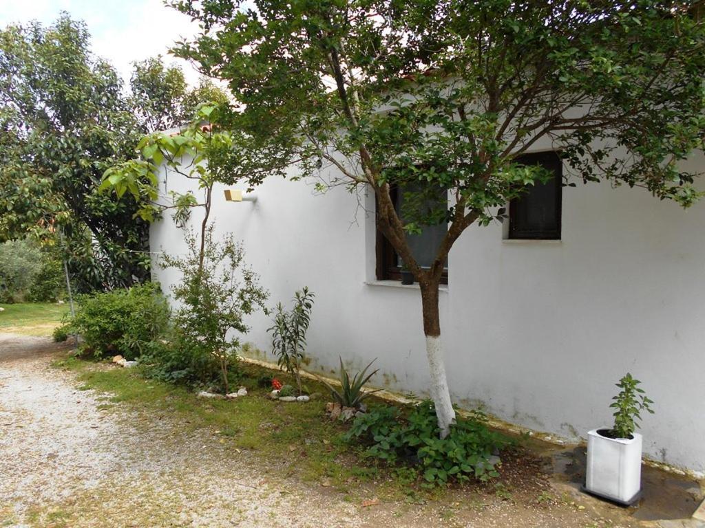 Anastasia Makri Exterior foto