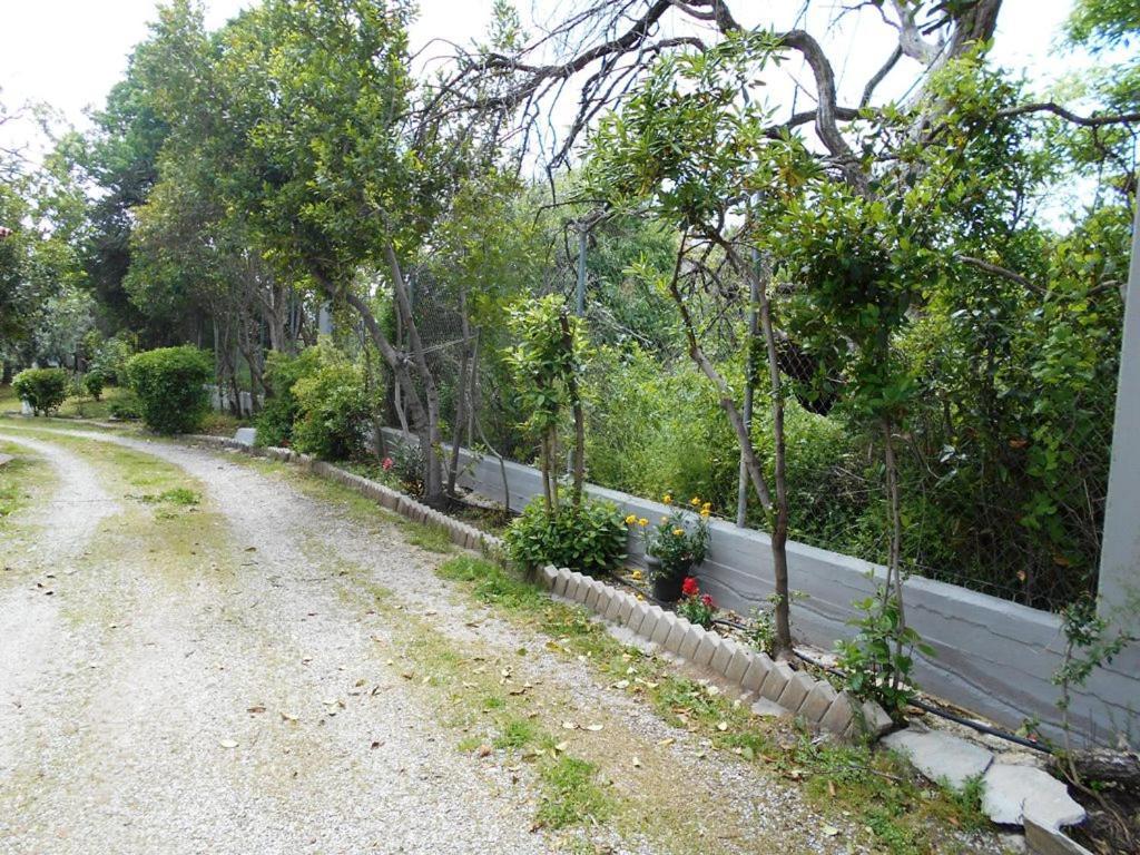 Anastasia Makri Exterior foto