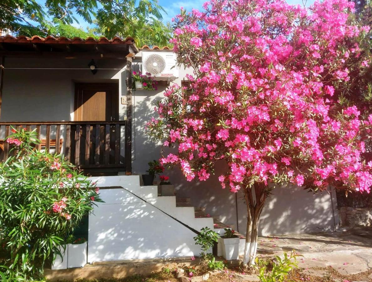 Anastasia Makri Exterior foto